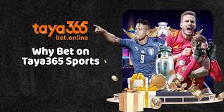 Learn How to Make a Living Sports Betting with Taya365