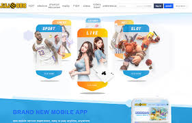 Discover Lottery Ticket Wallpaper Designs on Jili888